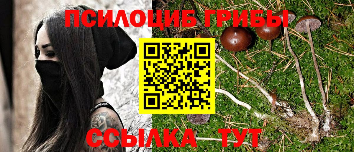 Псилоцибиновые грибы Psilocybe  Псилоцибиновые грибы ЛСД  Москва  Вход с VPN 